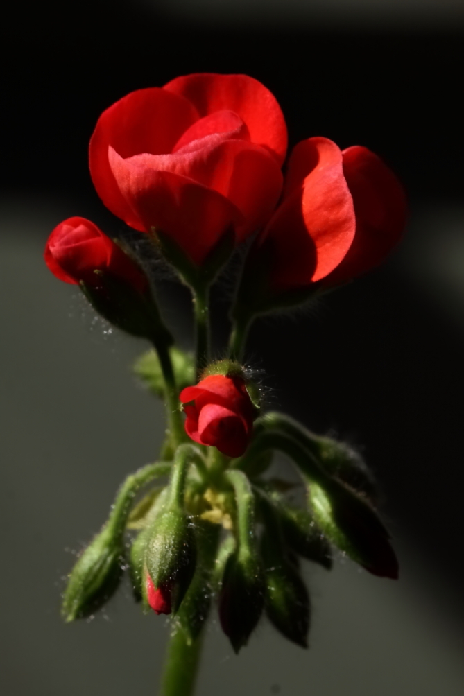 2012 03 06 7789